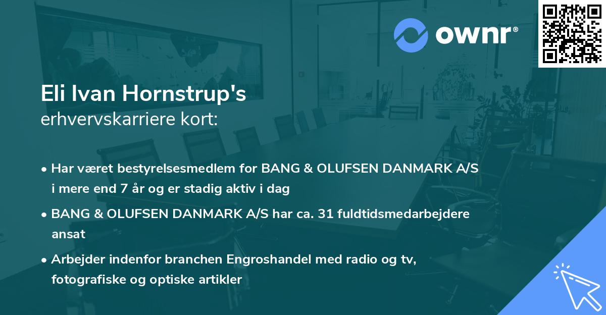 Eli Ivan Hornstrup's erhvervskarriere kort