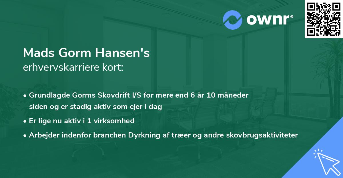 Mads Gorm Hansen's erhvervskarriere kort