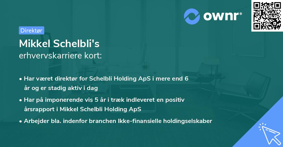 Mikkel Schelbli's erhvervskarriere kort
