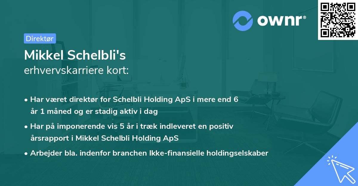 Mikkel Schelbli's erhvervskarriere kort