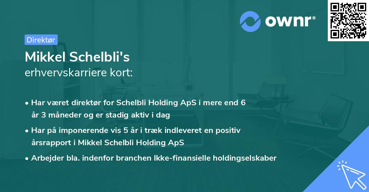 Mikkel Schelbli's erhvervskarriere kort