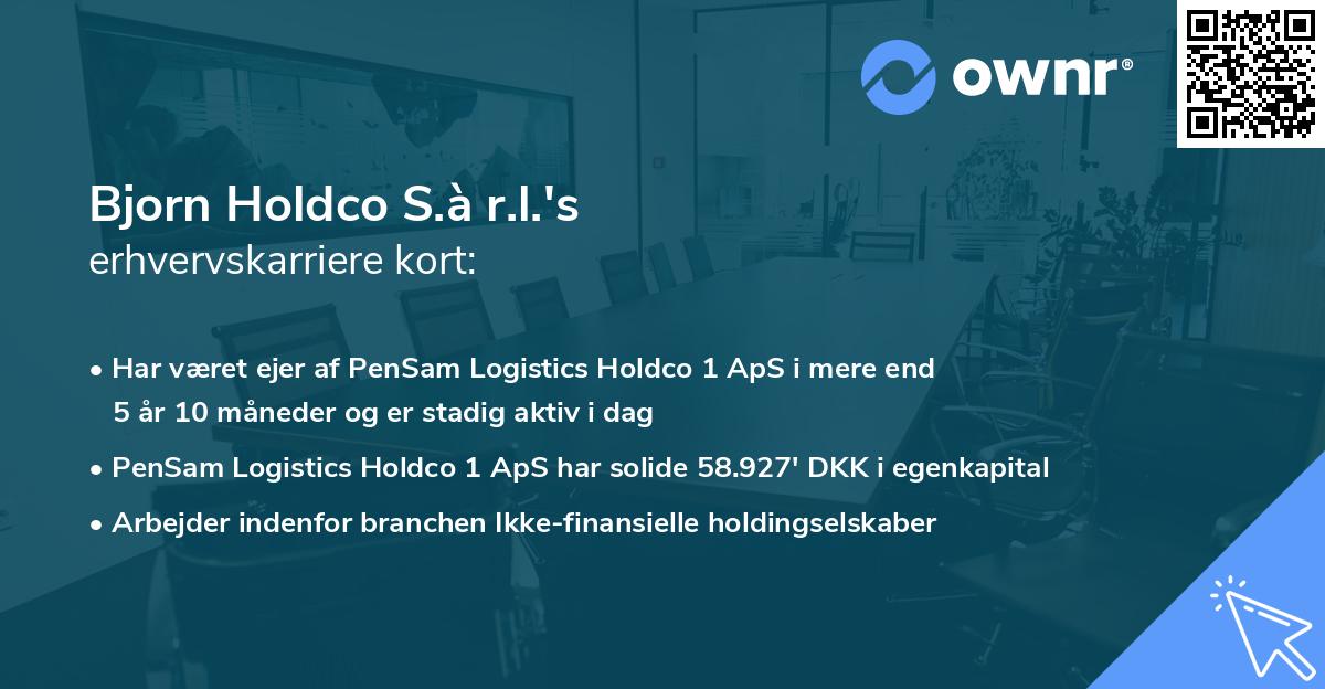 Bjorn Holdco S.à r.l.'s erhvervskarriere kort