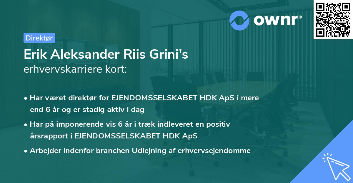 Erik Aleksander Riis Grini's erhvervskarriere kort