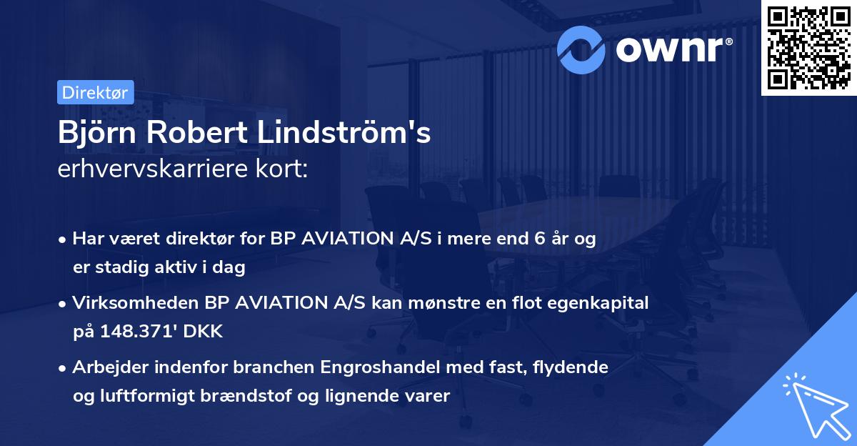 Björn Robert Lindström's erhvervskarriere kort