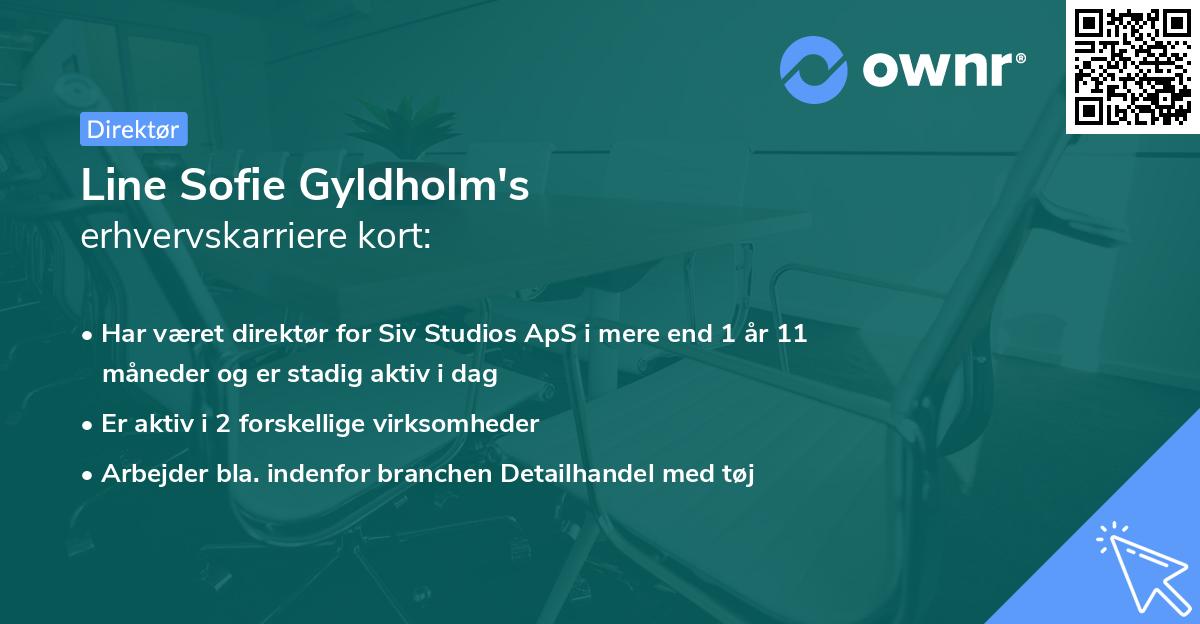 Line Sofie Gyldholm's erhvervskarriere kort
