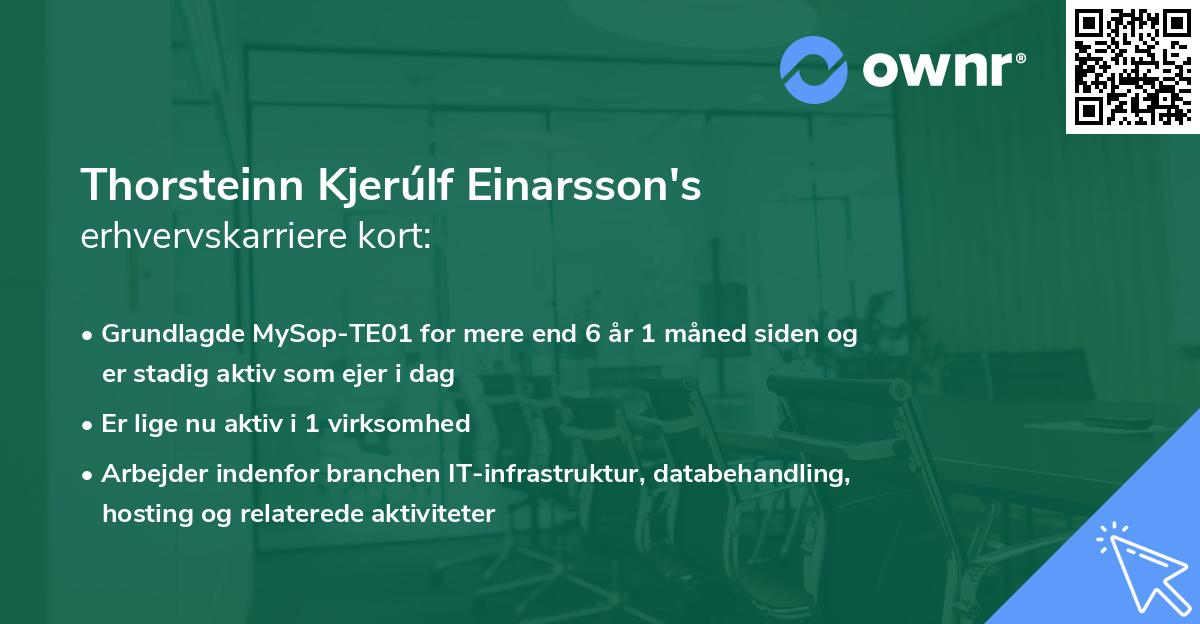 Thorsteinn Kjerúlf Einarsson's erhvervskarriere kort