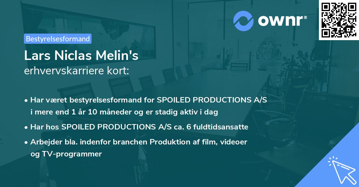 Lars Niclas Melin's erhvervskarriere kort