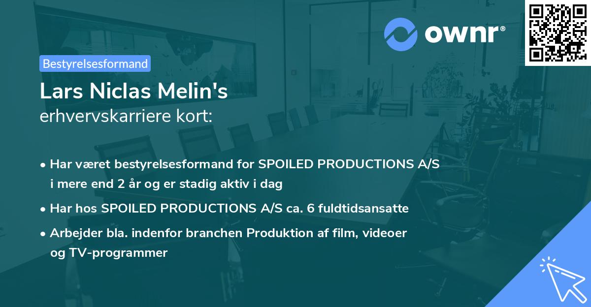 Lars Niclas Melin's erhvervskarriere kort