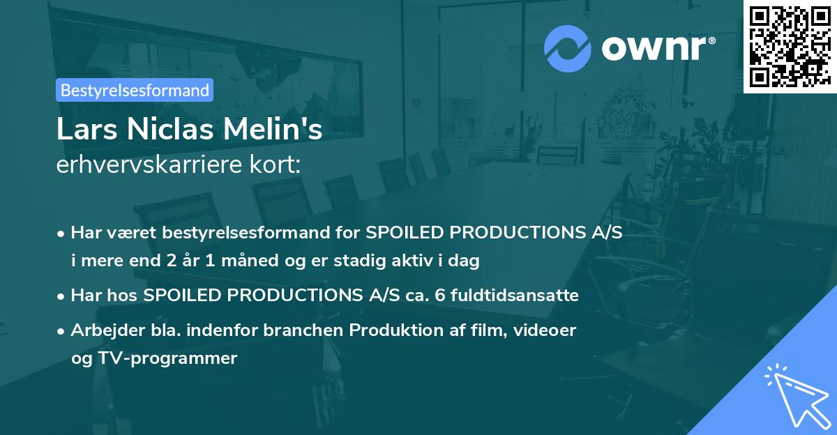 Lars Niclas Melin's erhvervskarriere kort