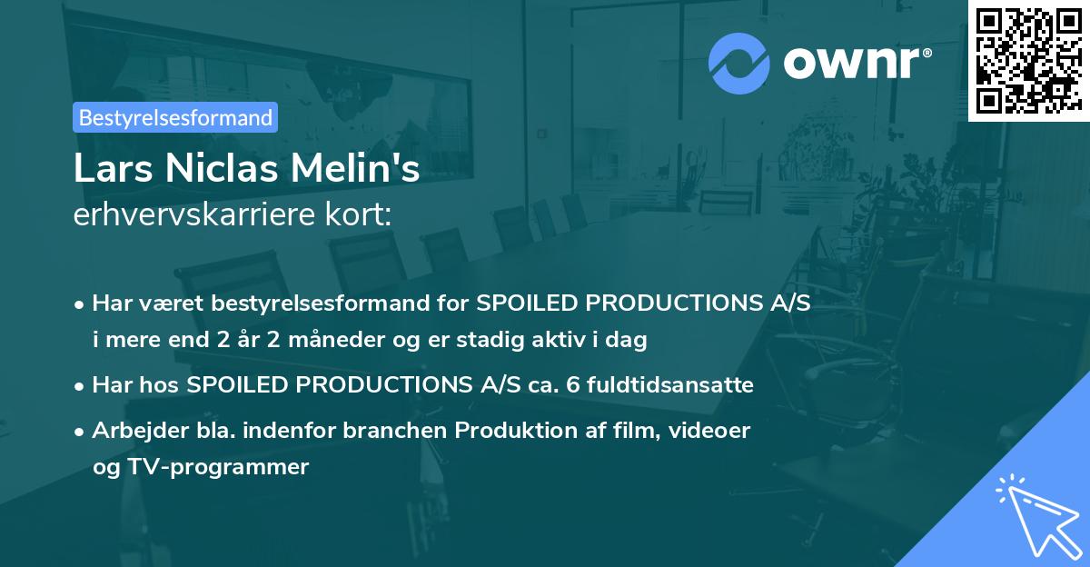 Lars Niclas Melin's erhvervskarriere kort