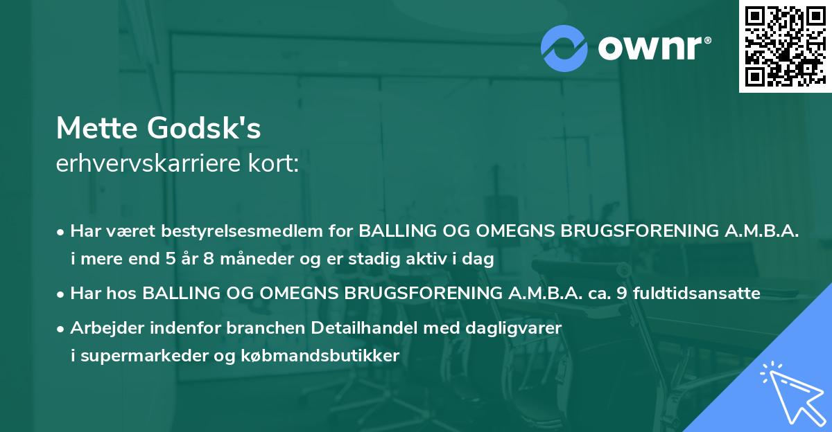 Mette Godsk's erhvervskarriere kort