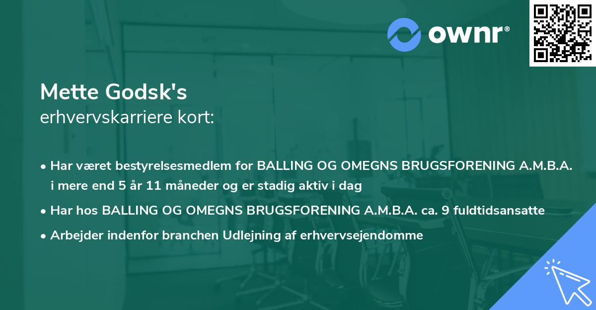 Mette Godsk's erhvervskarriere kort
