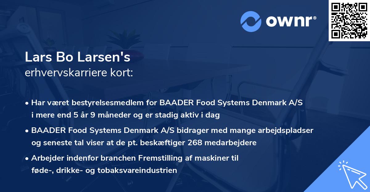Lars Bo Larsen's erhvervskarriere kort