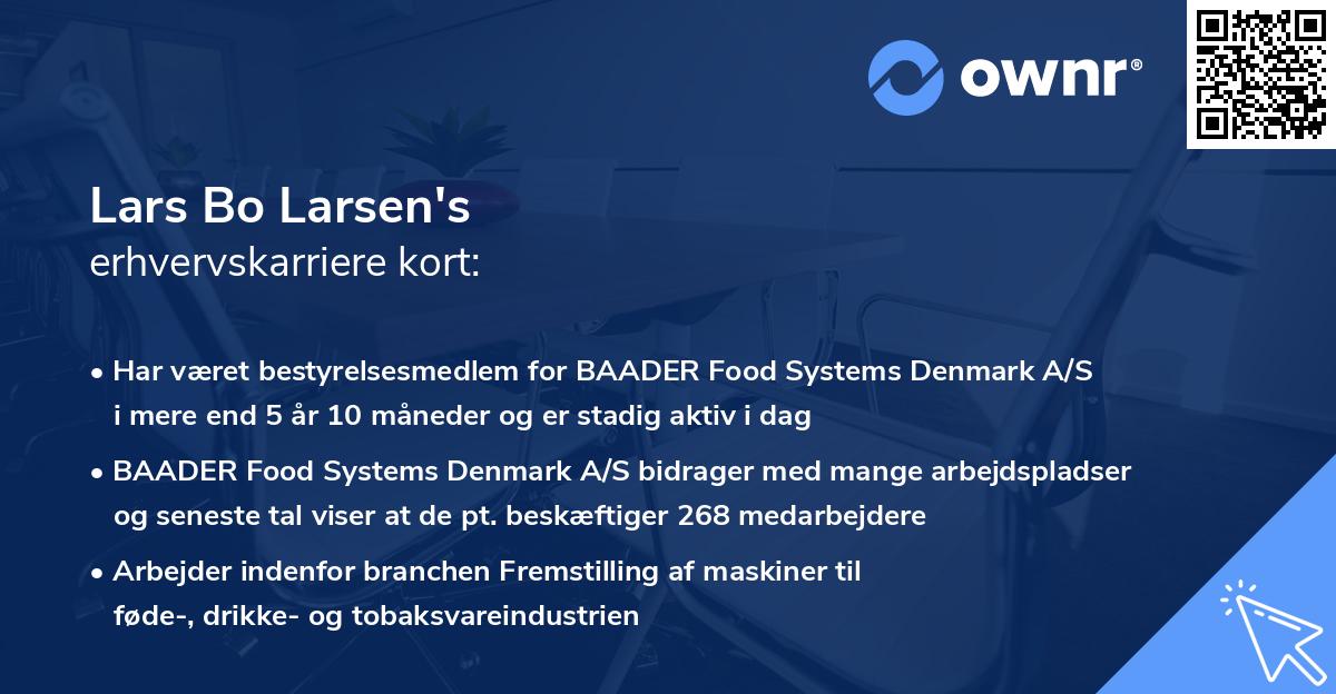 Lars Bo Larsen's erhvervskarriere kort