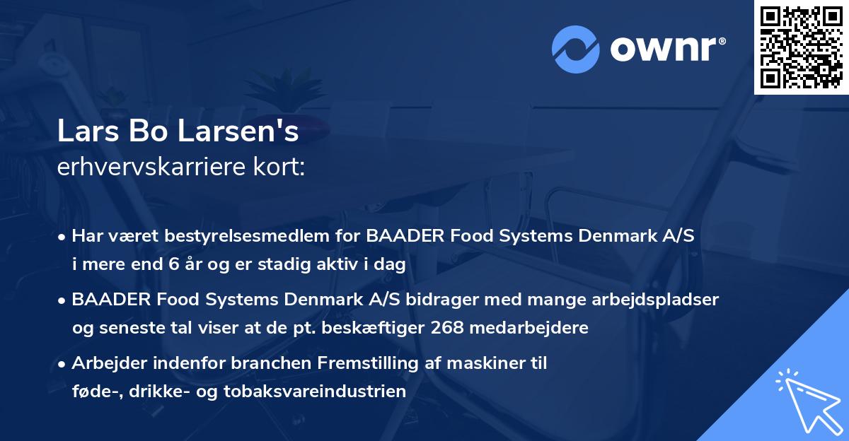 Lars Bo Larsen's erhvervskarriere kort