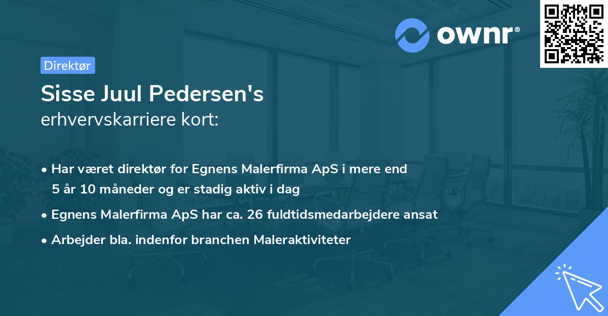 Sisse Juul Pedersen's erhvervskarriere kort