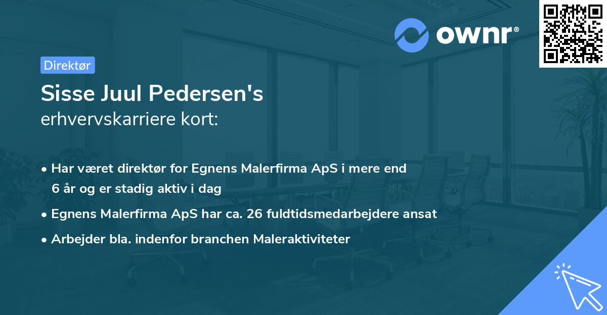Sisse Juul Pedersen's erhvervskarriere kort