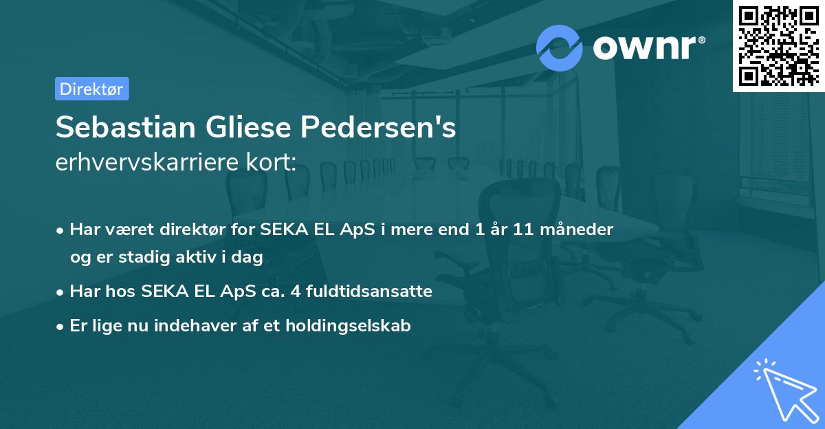 Sebastian Gliese Pedersen's erhvervskarriere kort