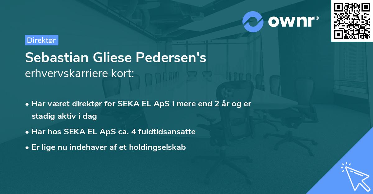 Sebastian Gliese Pedersen's erhvervskarriere kort