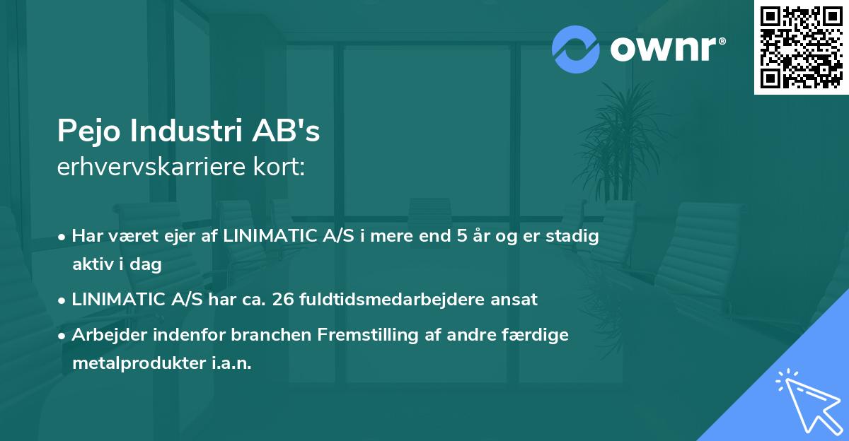 Pejo Industri AB's erhvervskarriere kort