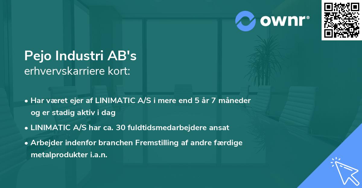 Pejo Industri AB's erhvervskarriere kort