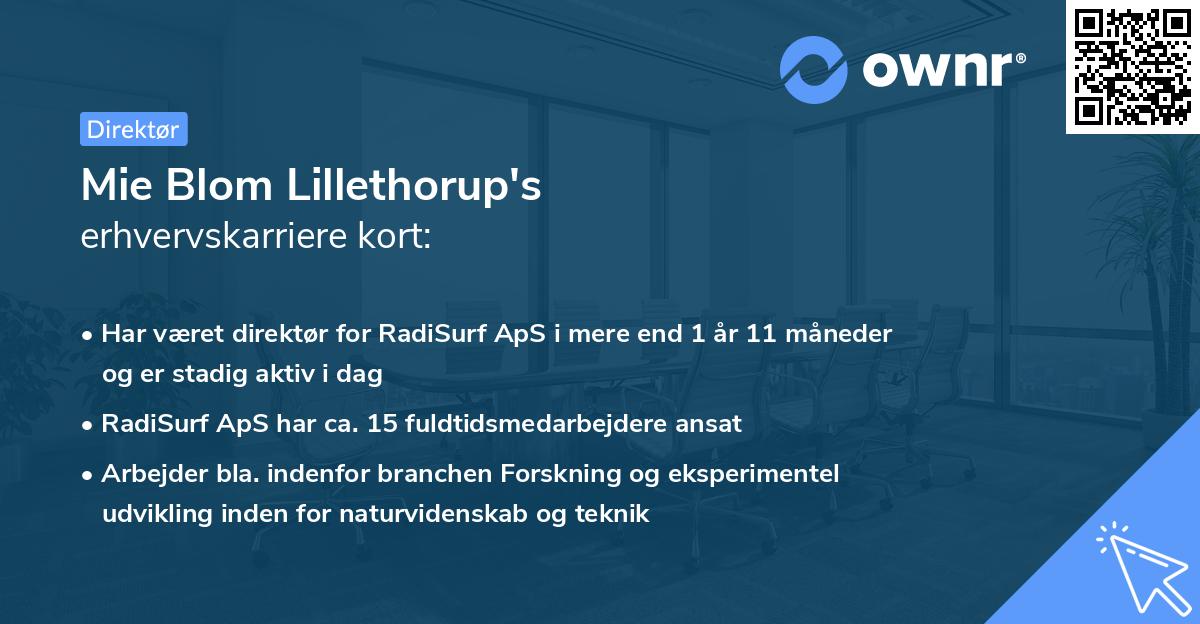 Mie Blom Lillethorup's erhvervskarriere kort