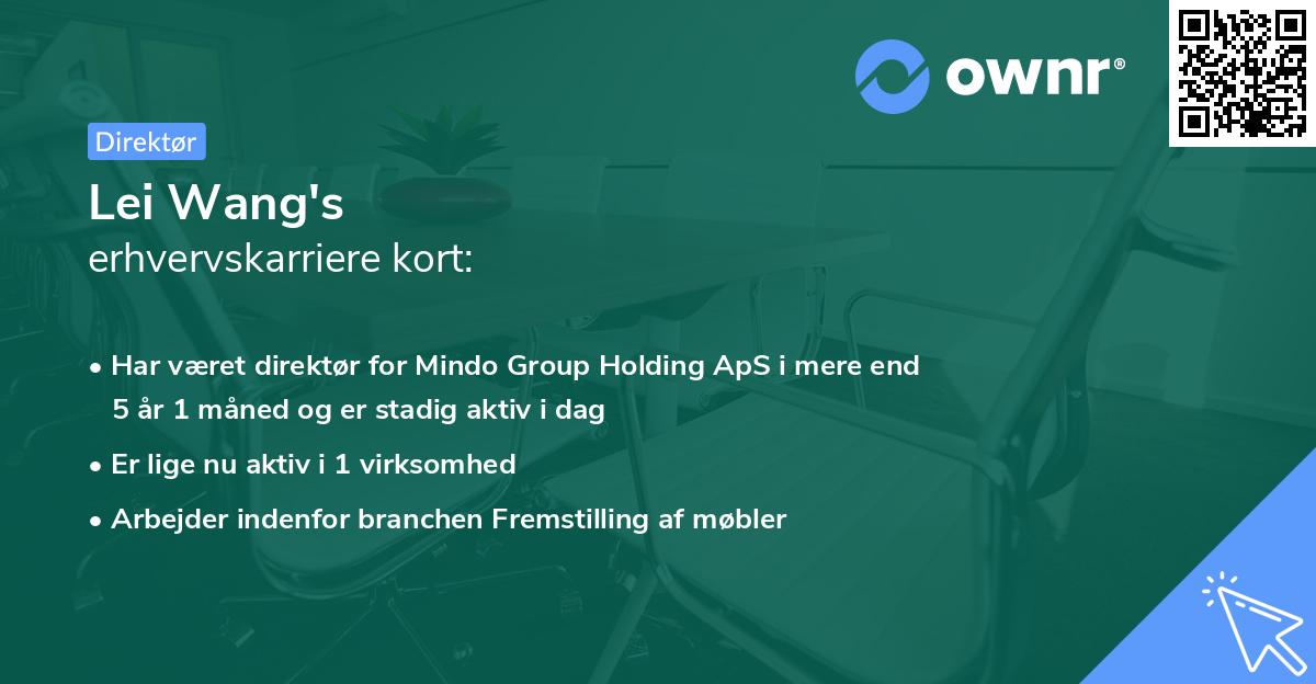 Lei Wang's erhvervskarriere kort