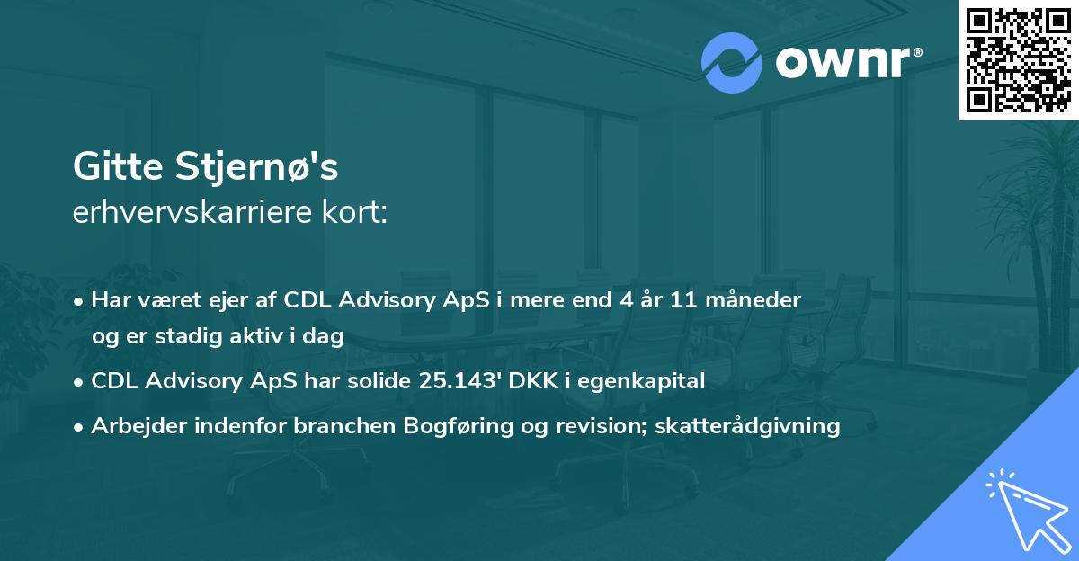 Gitte Stjernø's erhvervskarriere kort