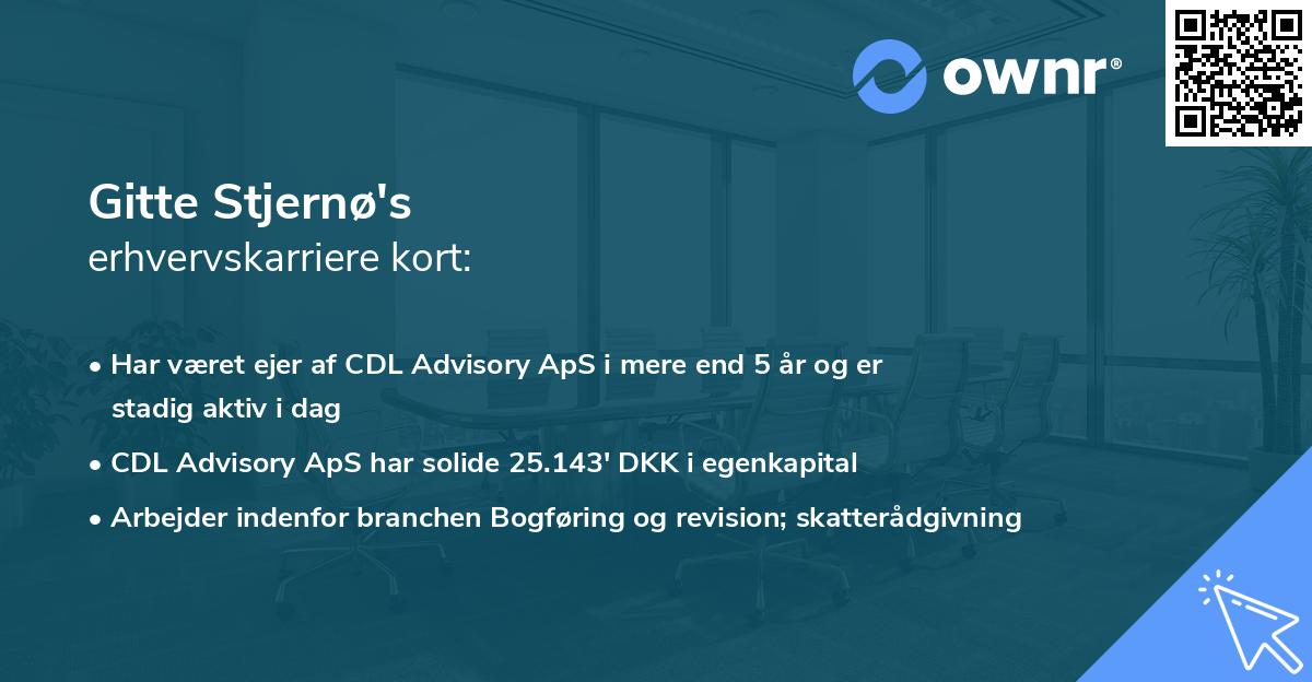 Gitte Stjernø's erhvervskarriere kort