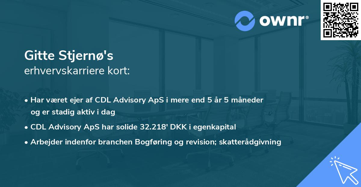 Gitte Stjernø's erhvervskarriere kort