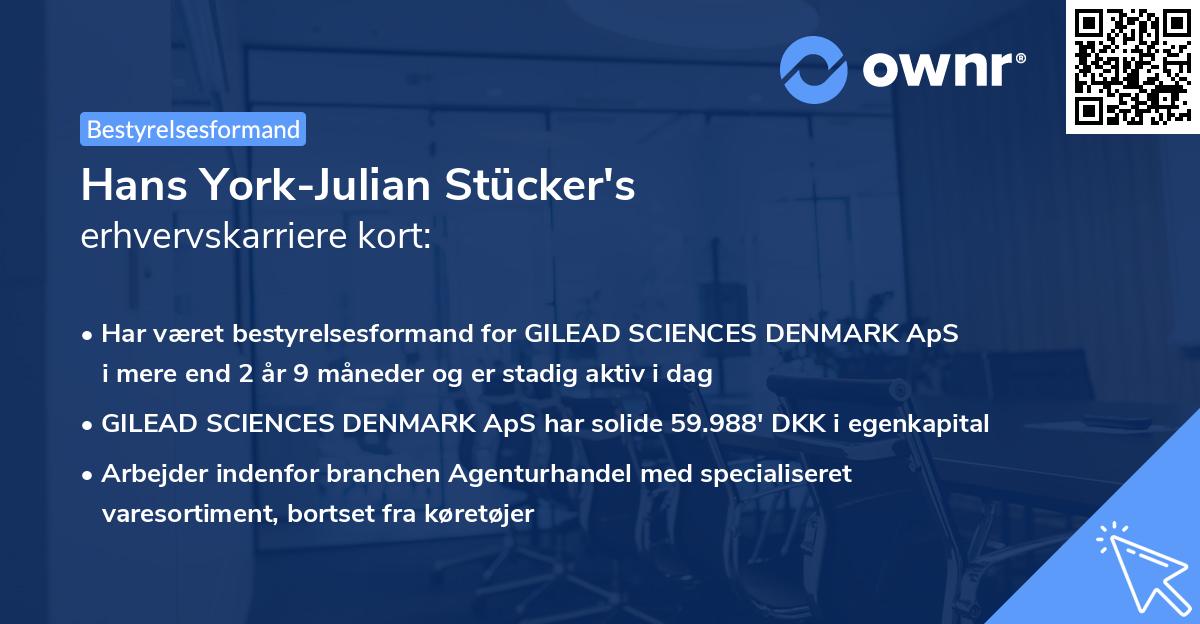 Hans York-Julian Stücker's erhvervskarriere kort