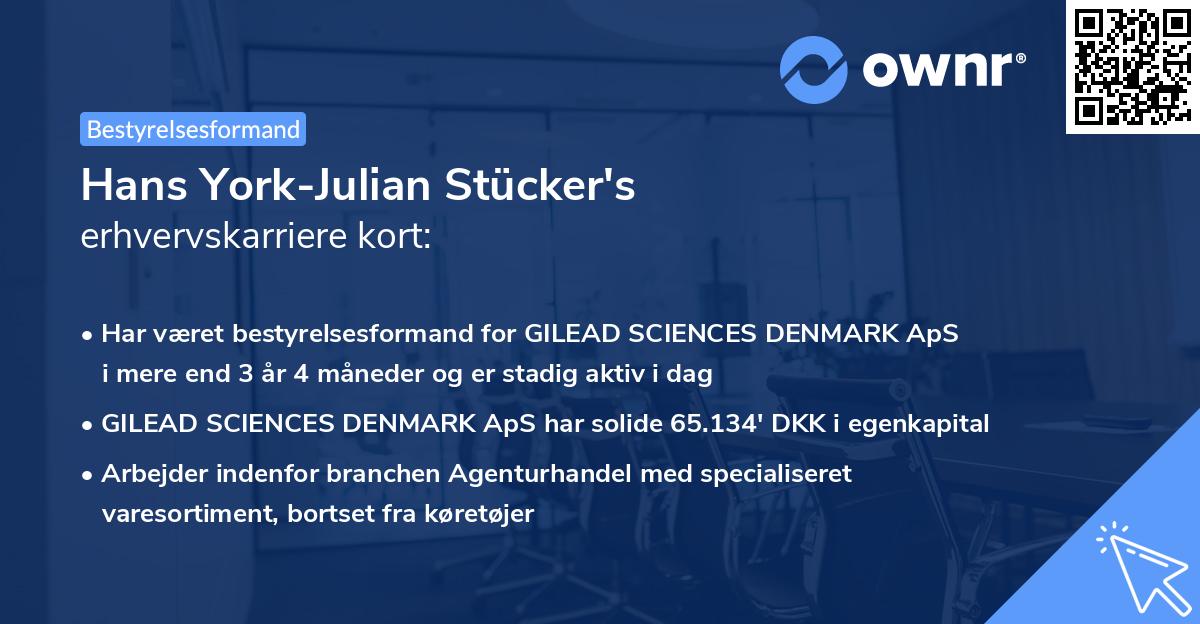 Hans York-Julian Stücker's erhvervskarriere kort