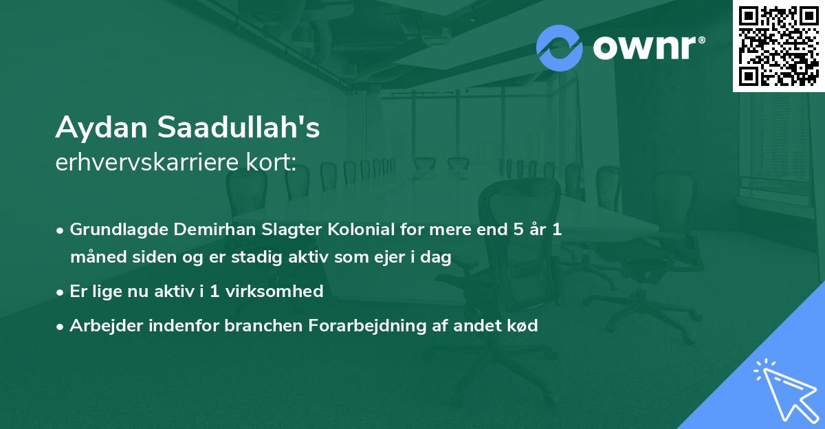 Aydan Saadullah's erhvervskarriere kort