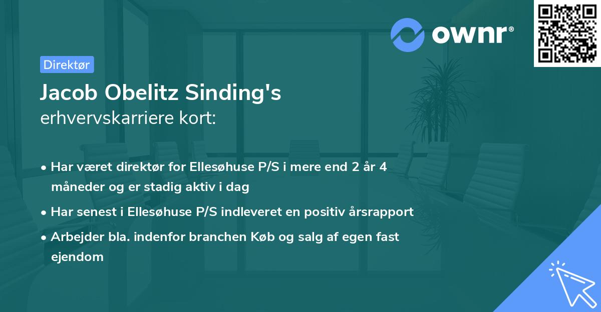 Jacob Obelitz Sinding's erhvervskarriere kort