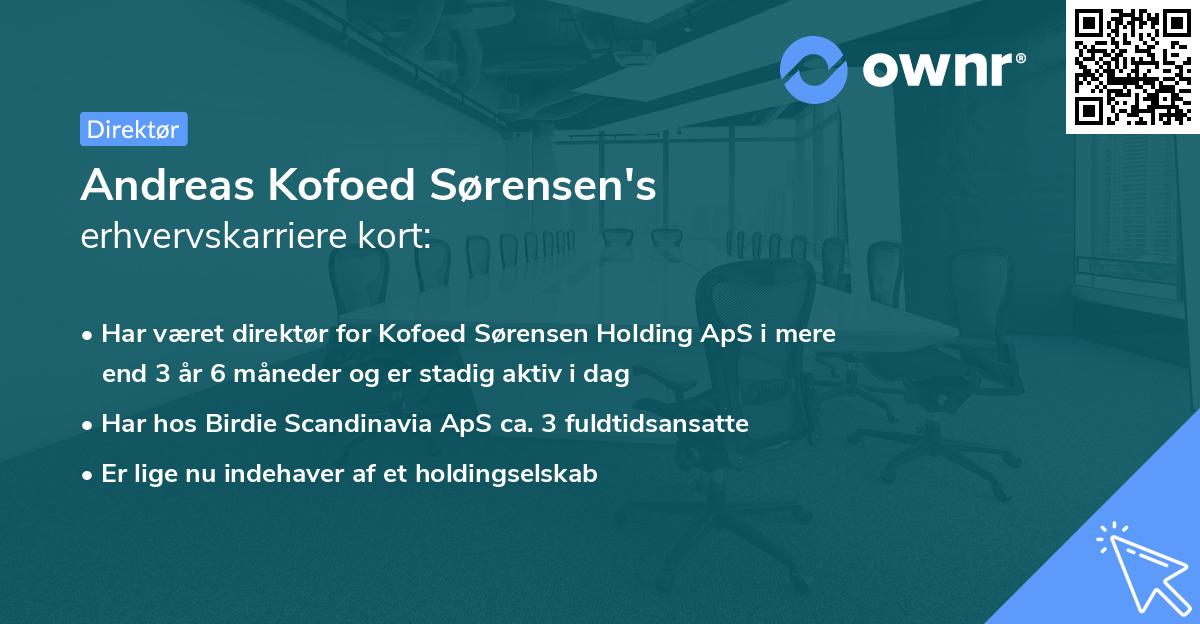 Andreas Kofoed Sørensen's erhvervskarriere kort