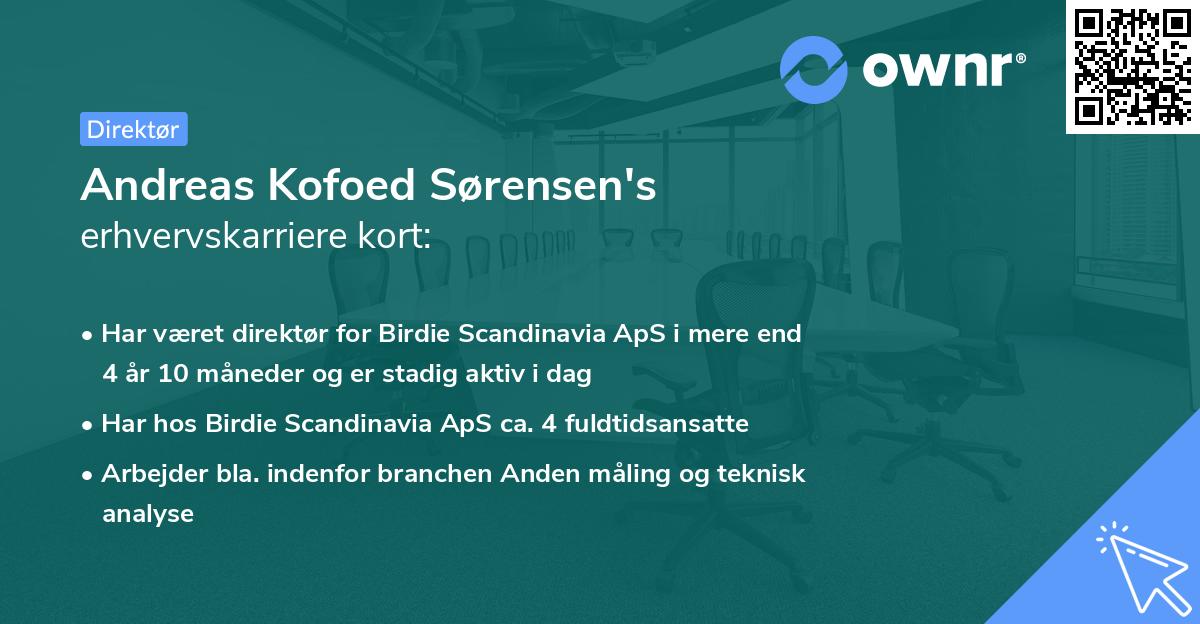 Andreas Kofoed Sørensen's erhvervskarriere kort