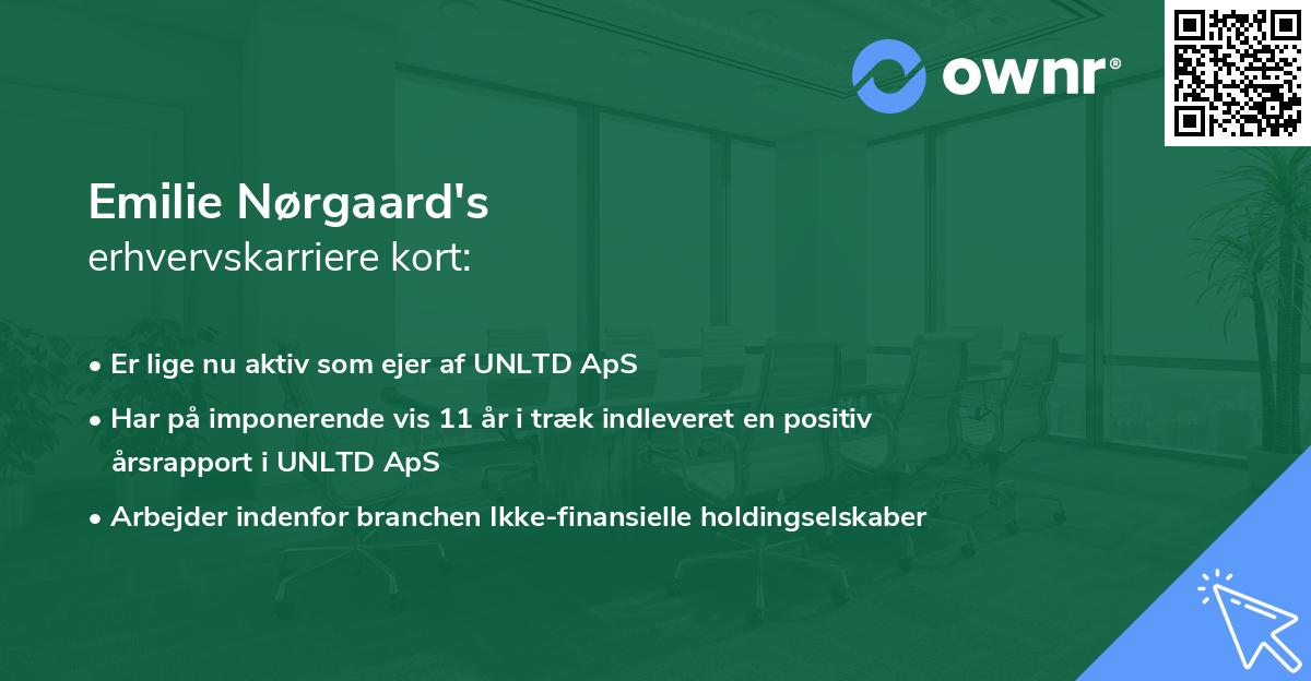 Emilie Nørgaard's erhvervskarriere kort