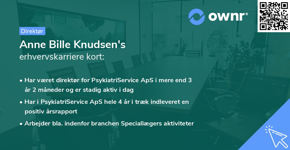 Anne Bille Knudsen's erhvervskarriere kort