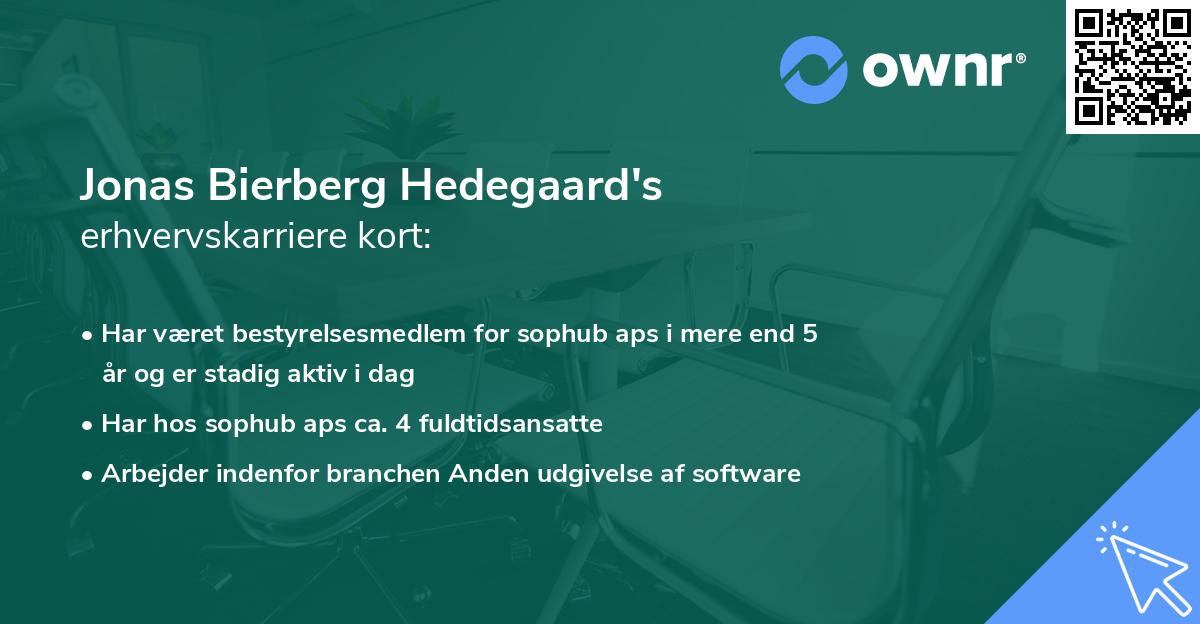 Jonas Bierberg Hedegaard's erhvervskarriere kort