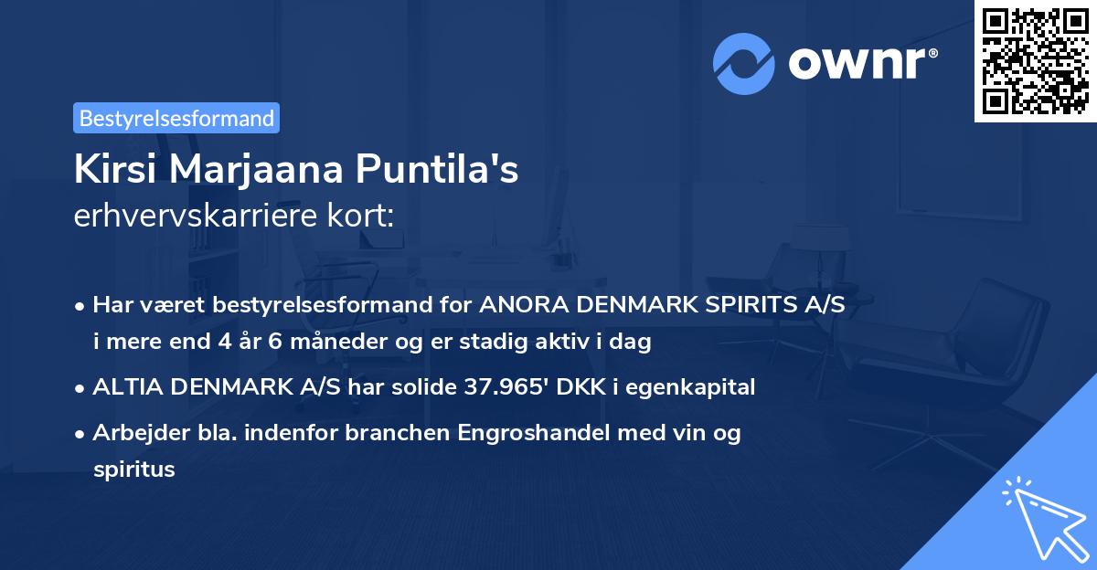 Kirsi Marjaana Puntila's erhvervskarriere kort