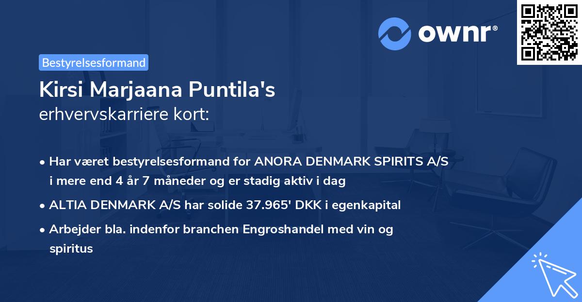 Kirsi Marjaana Puntila's erhvervskarriere kort