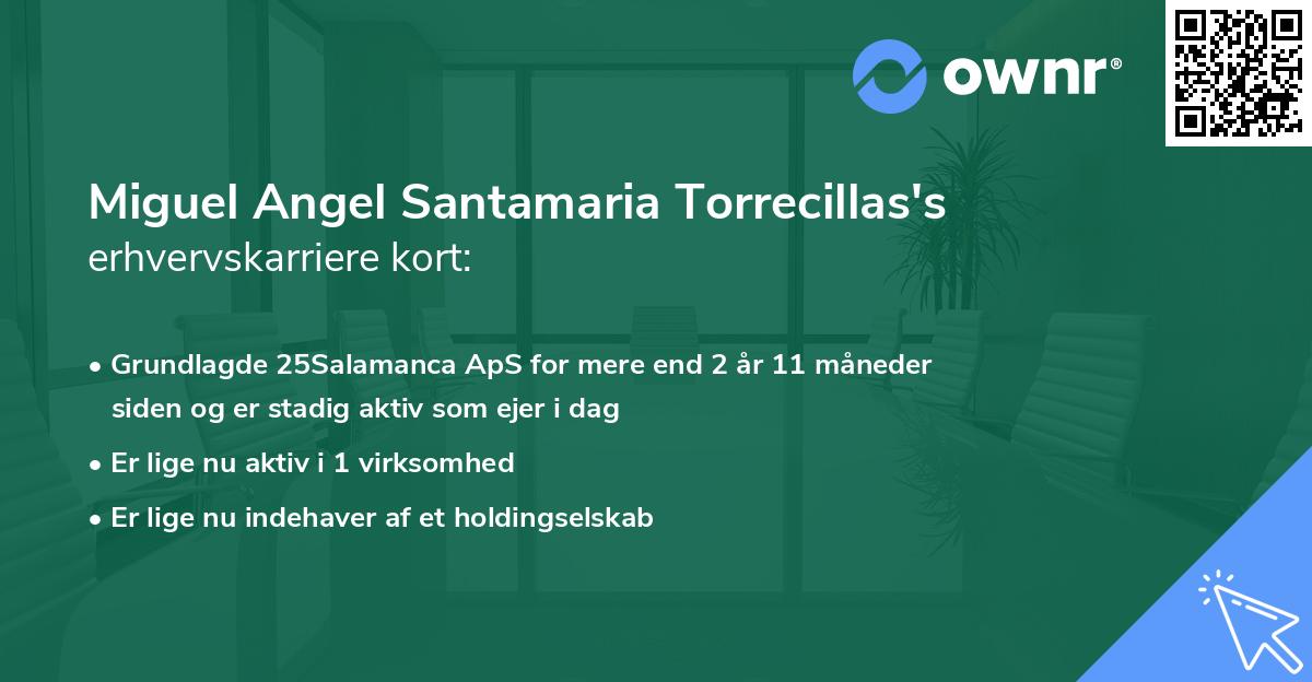 Miguel Angel Santamaria Torrecillas's erhvervskarriere kort