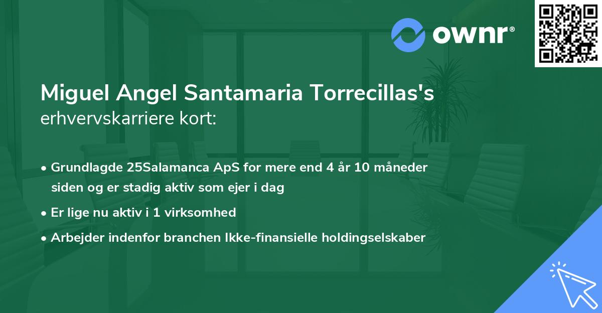 Miguel Angel Santamaria Torrecillas's erhvervskarriere kort