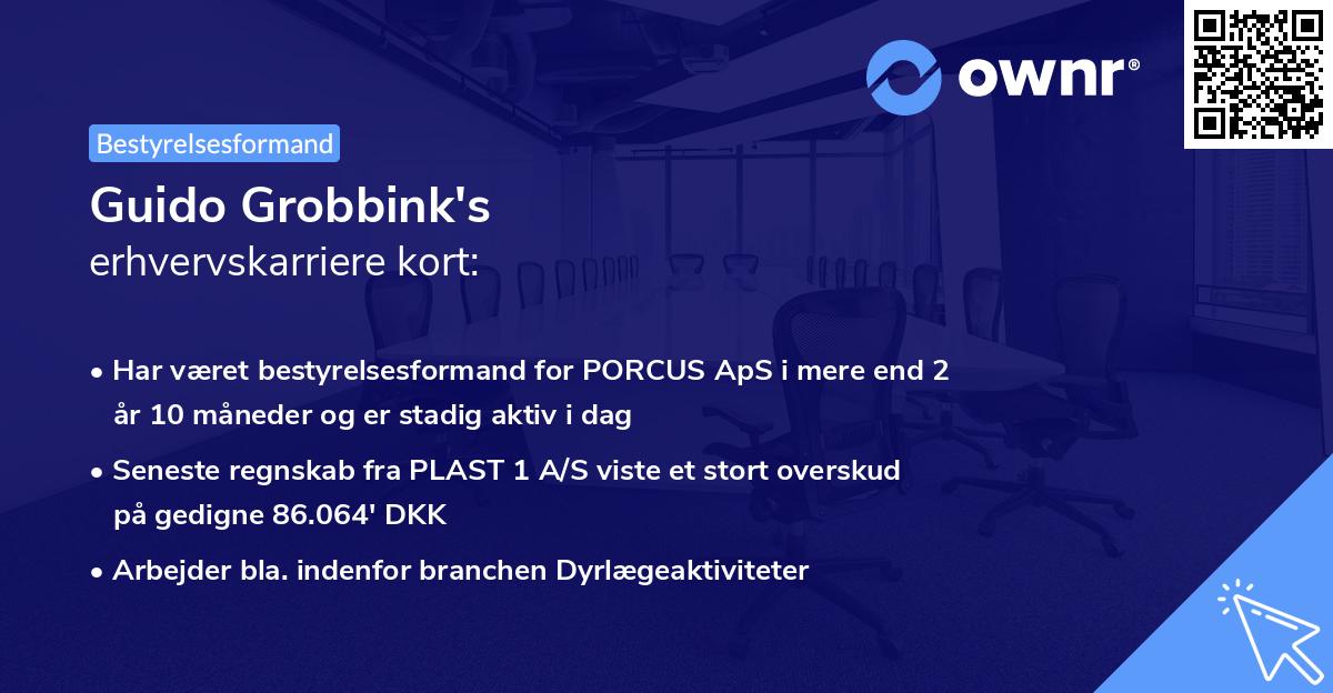 Guido Grobbink's erhvervskarriere kort