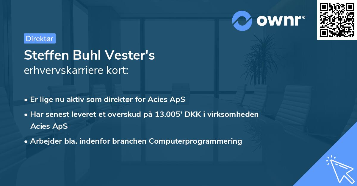 Steffen Buhl Vester's erhvervskarriere kort