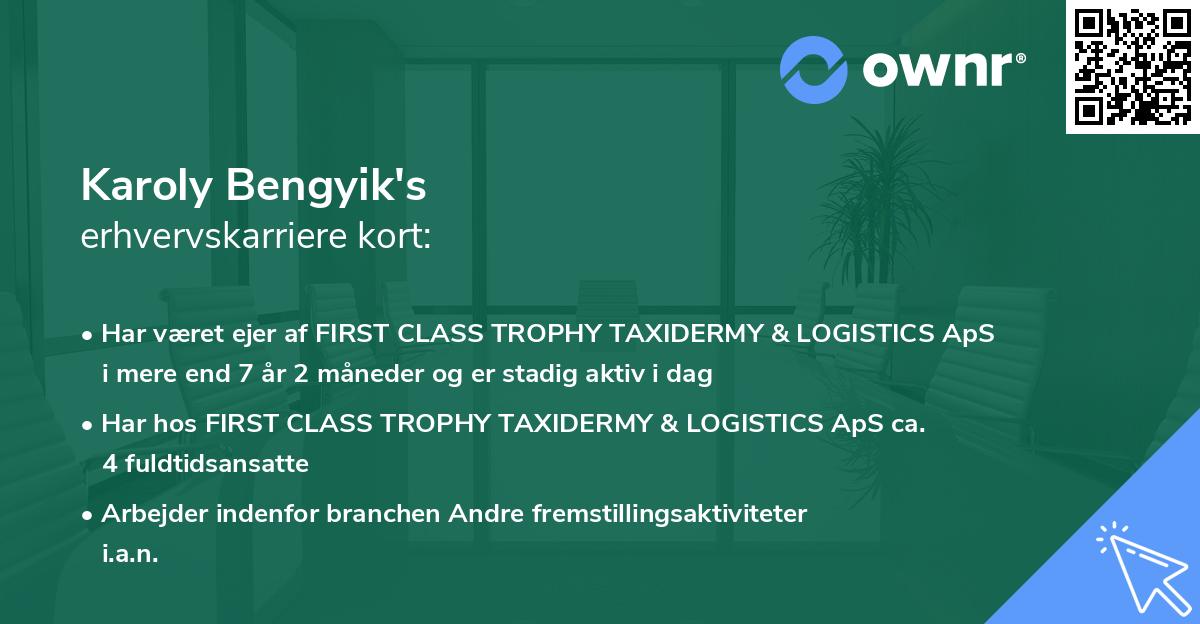 Karoly Bengyik's erhvervskarriere kort