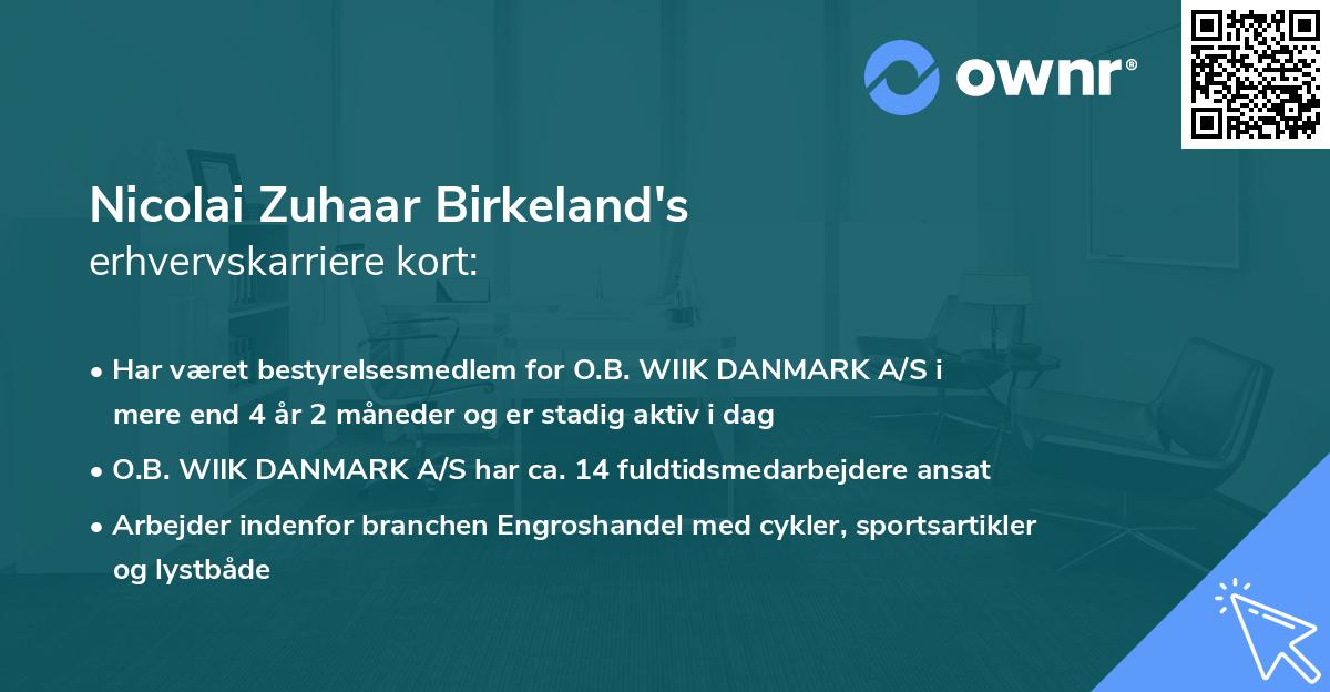 Nicolai Zuhaar Birkeland's erhvervskarriere kort