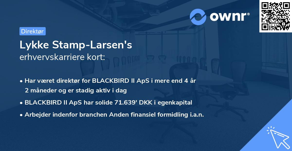 Lykke Stamp-Larsen's erhvervskarriere kort