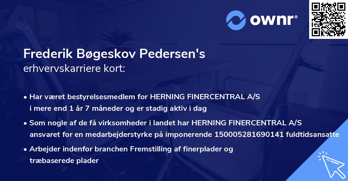 Frederik Bøgeskov Pedersen's erhvervskarriere kort