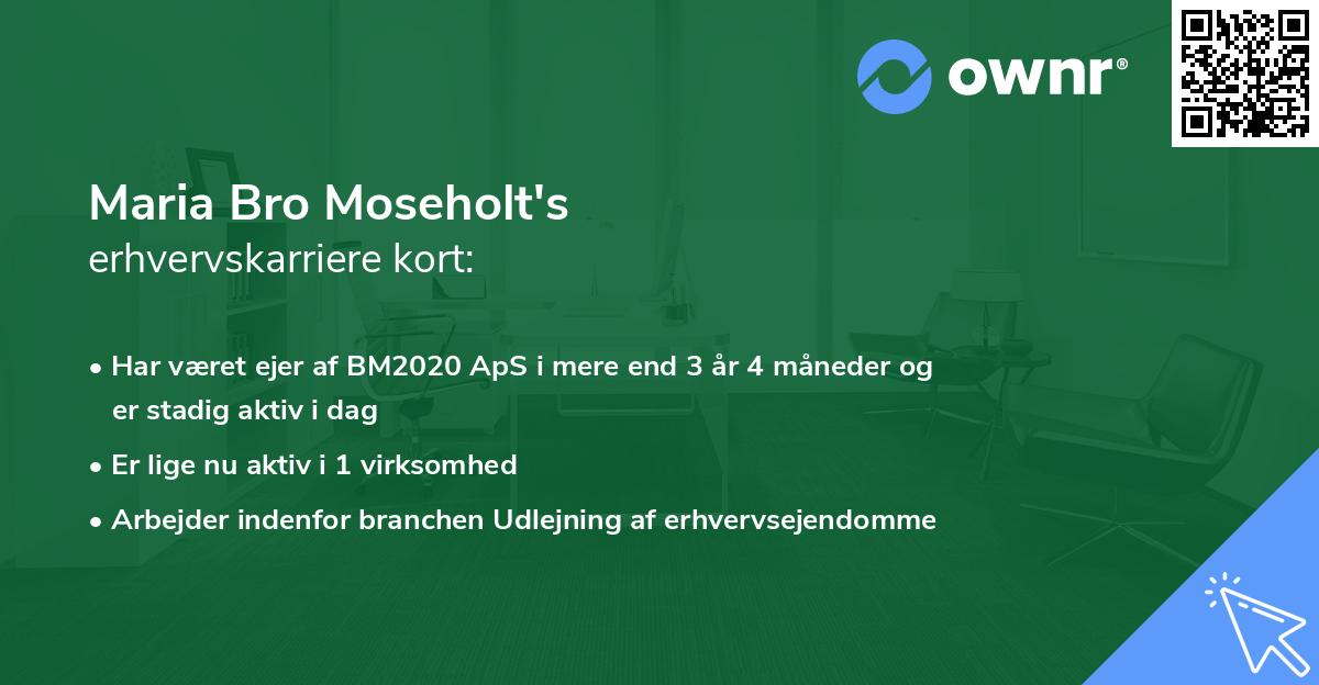 Maria Bro Moseholt's erhvervskarriere kort